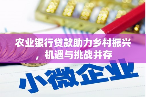 仙游农业银行贷款助力乡村振兴，机遇与挑战并存