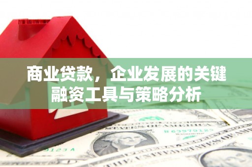仙游商业贷款，企业发展的关键融资工具与策略分析