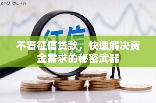 仙游不看征信贷款，快速解决资金需求的秘密武器