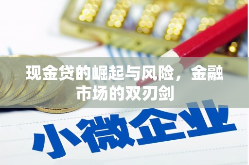 仙游现金贷的崛起与风险，金融市场的双刃剑