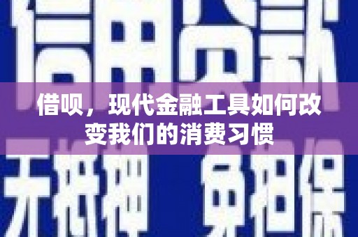 仙游借呗，现代金融工具如何改变我们的消费习惯