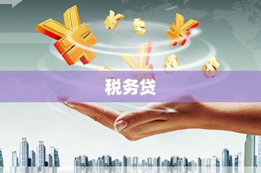 仙游税务贷