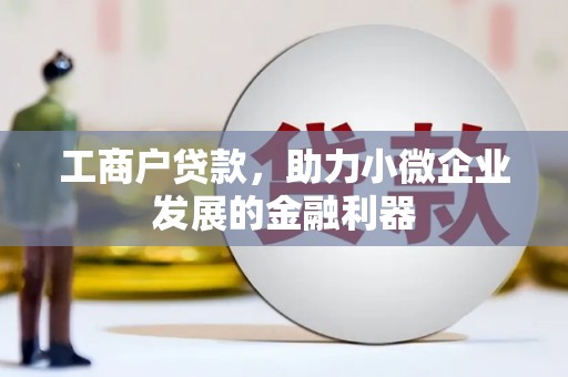 仙游工商户贷款，助力小微企业发展的金融利器
