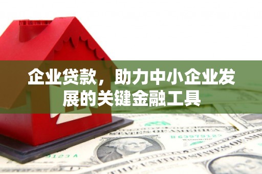 仙游企业贷款，助力中小企业发展的关键金融工具