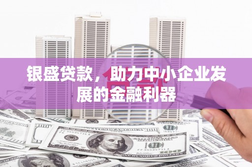 仙游银盛贷款，助力中小企业发展的金融利器