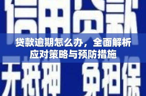 仙游贷款逾期怎么办，全面解析应对策略与预防措施