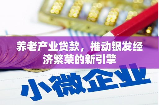 仙游养老产业贷款，推动银发经济繁荣的新引擎