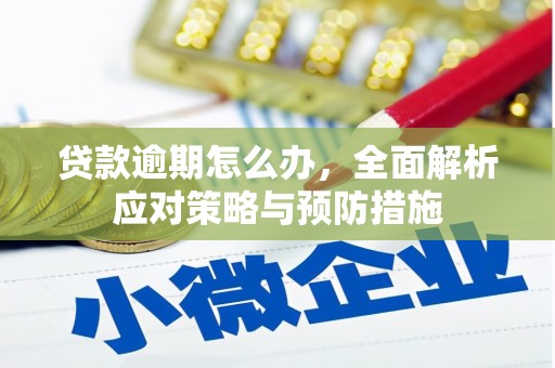 仙游贷款逾期怎么办，全面解析应对策略与预防措施