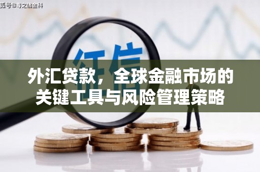 仙游外汇贷款，全球金融市场的关键工具与风险管理策略