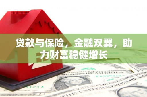 仙游贷款与保险，金融双翼，助力财富稳健增长