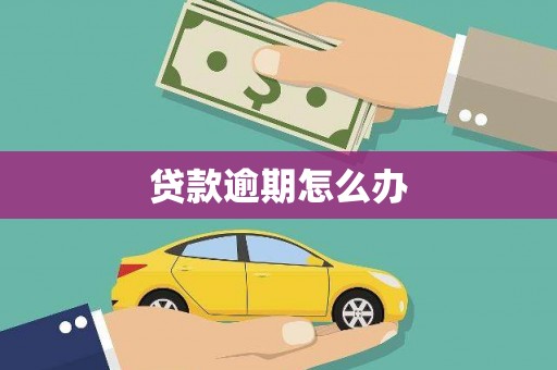仙游贷款逾期怎么办