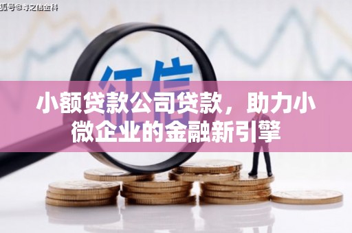 仙游小额贷款公司贷款，助力小微企业的金融新引擎