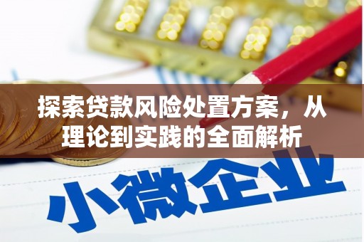 仙游探索贷款风险处置方案，从理论到实践的全面解析
