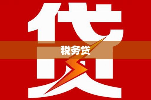 仙游税务贷