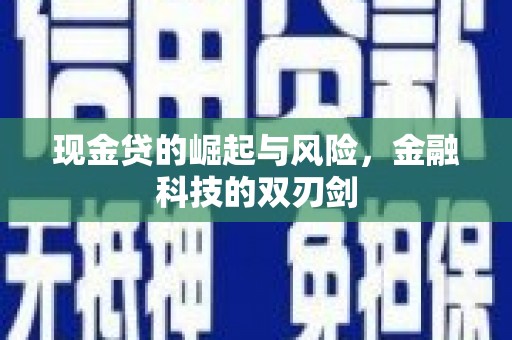 仙游现金贷的崛起与风险，金融科技的双刃剑