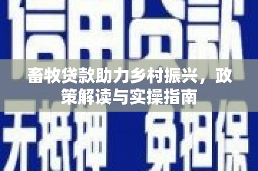 仙游畜牧贷款助力乡村振兴，政策解读与实操指南