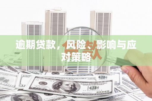 仙游逾期贷款，风险、影响与应对策略