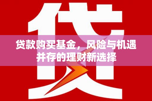 仙游贷款购买基金，风险与机遇并存的理财新选择