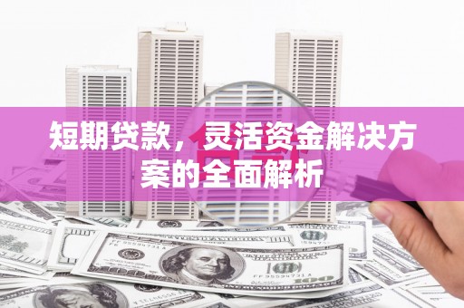 仙游短期贷款，灵活资金解决方案的全面解析