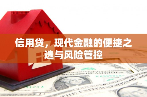 仙游信用贷，现代金融的便捷之选与风险管控