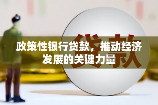 仙游政策性银行贷款，推动经济发展的关键力量
