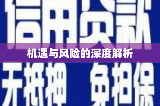 仙游机遇与风险的深度解析