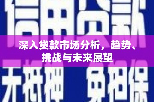 仙游深入贷款市场分析，趋势、挑战与未来展望