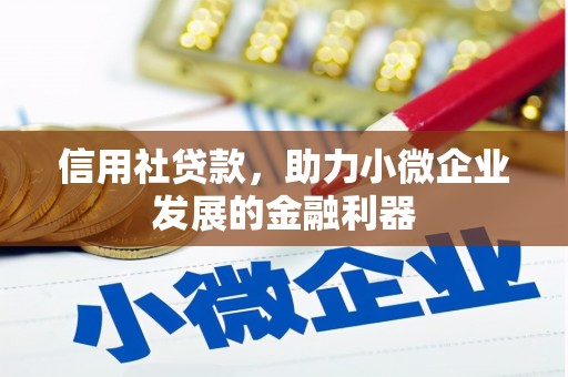 仙游信用社贷款，助力小微企业发展的金融利器
