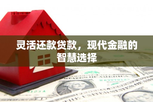 仙游灵活还款贷款，现代金融的智慧选择