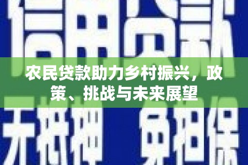 仙游农民贷款助力乡村振兴，政策、挑战与未来展望