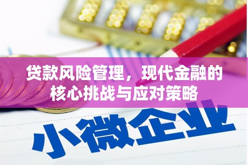 仙游贷款风险管理，现代金融的核心挑战与应对策略