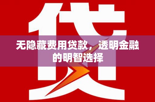 仙游无隐藏费用贷款，透明金融的明智选择