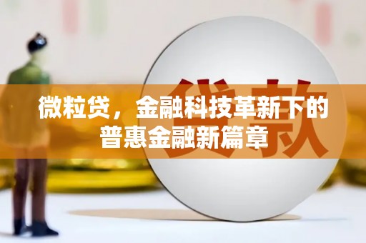 仙游微粒贷，金融科技革新下的普惠金融新篇章