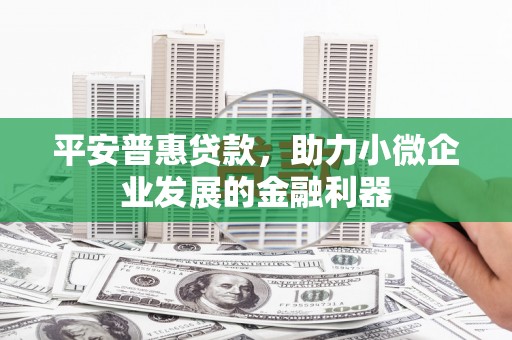仙游平安普惠贷款，助力小微企业发展的金融利器