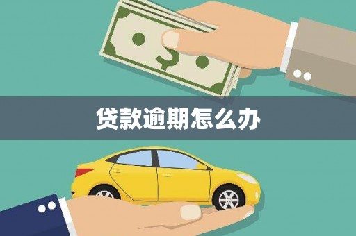 仙游贷款逾期怎么办