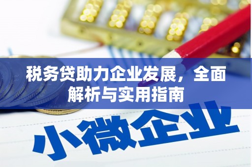 仙游税务贷助力企业发展，全面解析与实用指南
