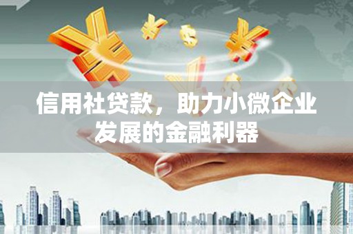 仙游信用社贷款，助力小微企业发展的金融利器