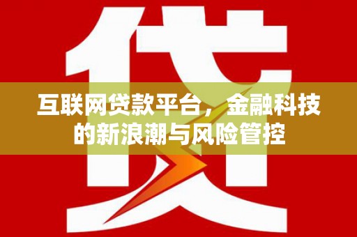 仙游互联网贷款平台，金融科技的新浪潮与风险管控