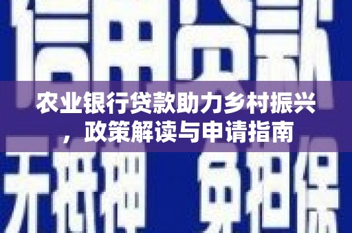 仙游农业银行贷款助力乡村振兴，政策解读与申请指南
