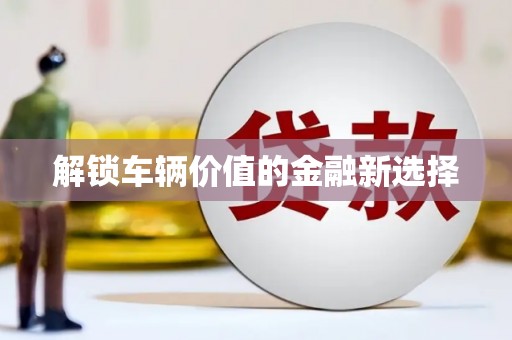 仙游解锁车辆价值的金融新选择
