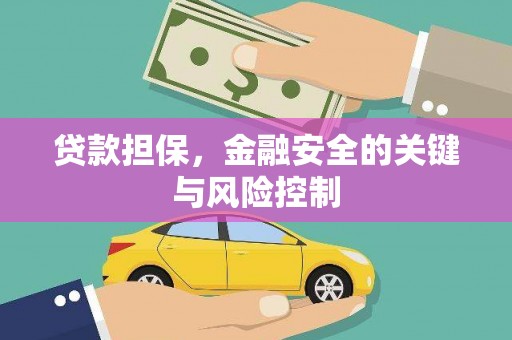 仙游贷款担保，金融安全的关键与风险控制