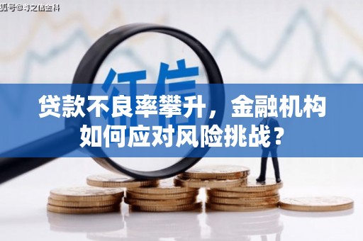 仙游贷款不良率攀升，金融机构如何应对风险挑战？