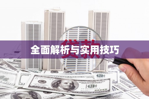 仙游全面解析与实用技巧