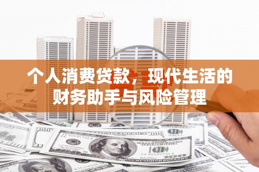 仙游个人消费贷款，现代生活的财务助手与风险管理