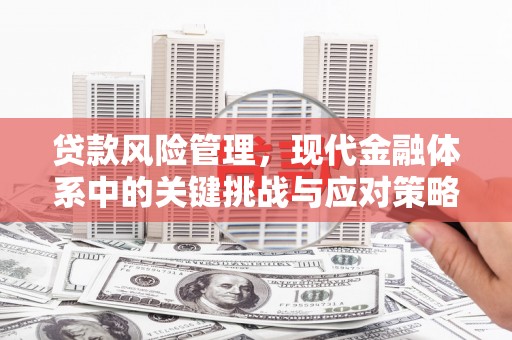 仙游贷款风险管理，现代金融体系中的关键挑战与应对策略