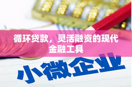 仙游循环贷款，灵活融资的现代金融工具