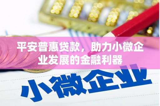 仙游平安普惠贷款，助力小微企业发展的金融利器