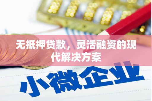 仙游无抵押贷款，灵活融资的现代解决方案