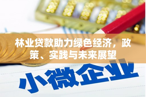 仙游林业贷款助力绿色经济，政策、实践与未来展望