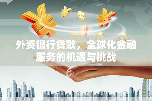 仙游外资银行贷款，全球化金融服务的机遇与挑战